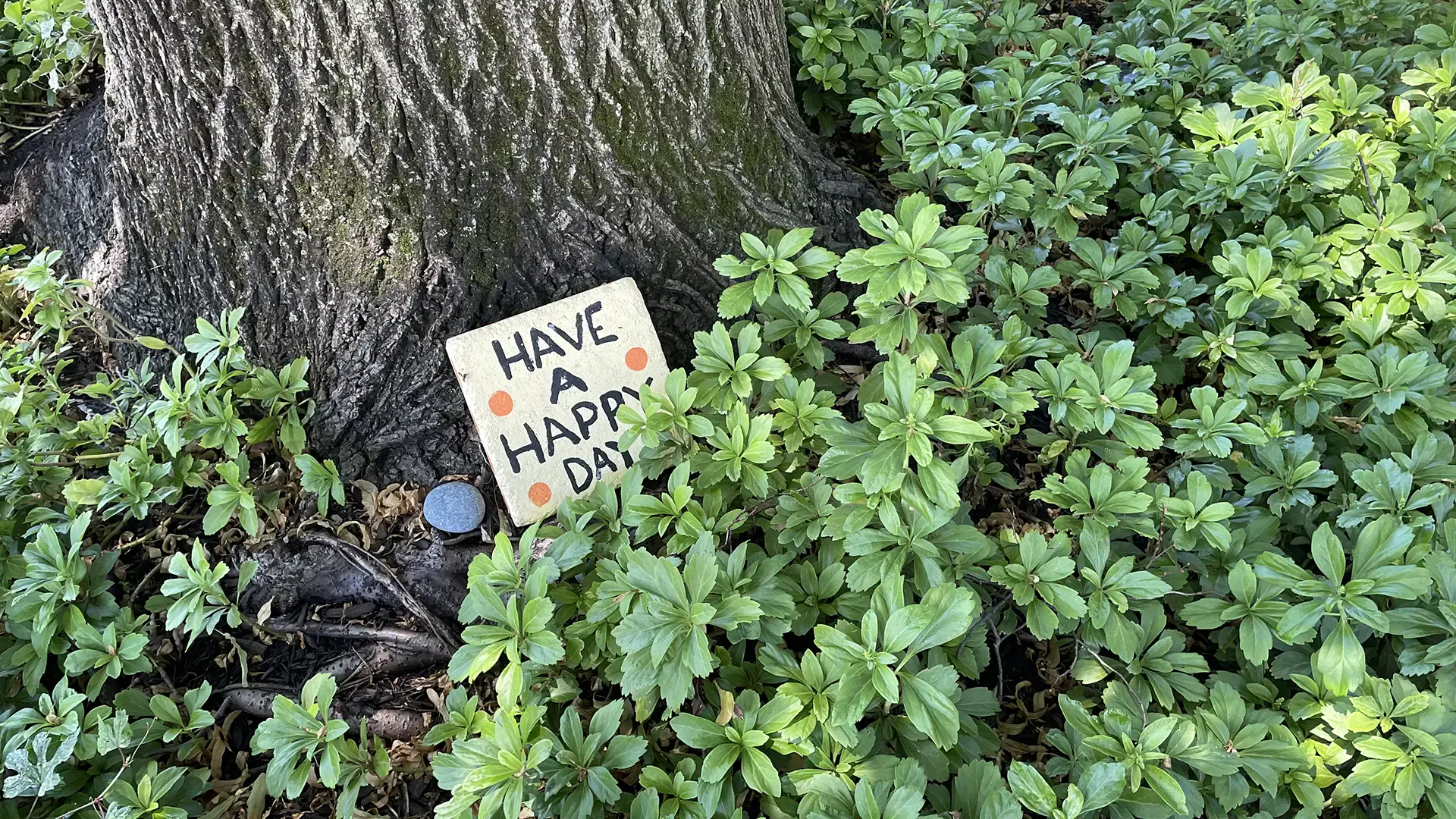 Minimalist design with bold typography elements