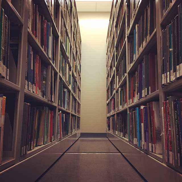 tall bookcases in a library