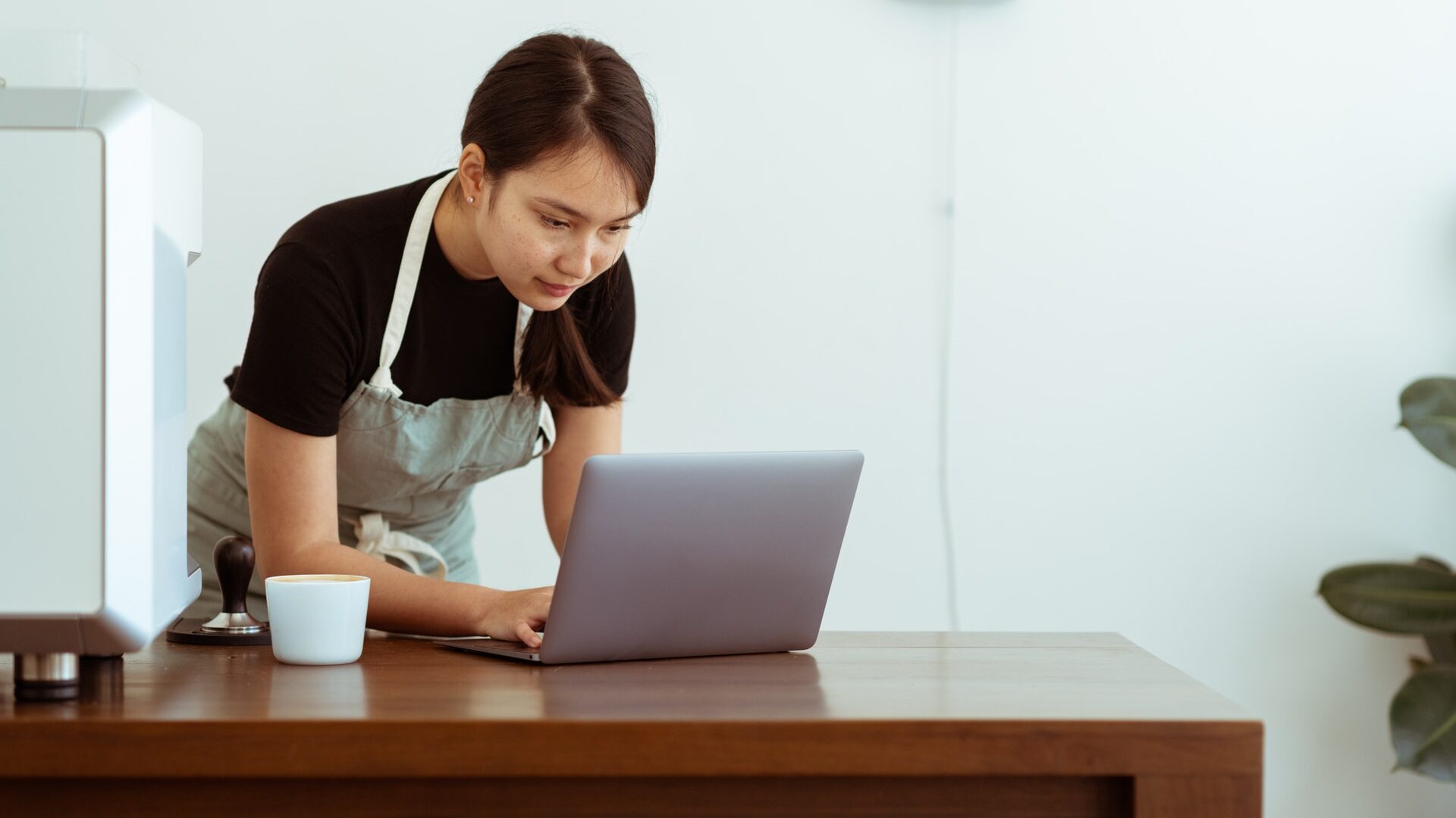 Focused woman in apron using laptop