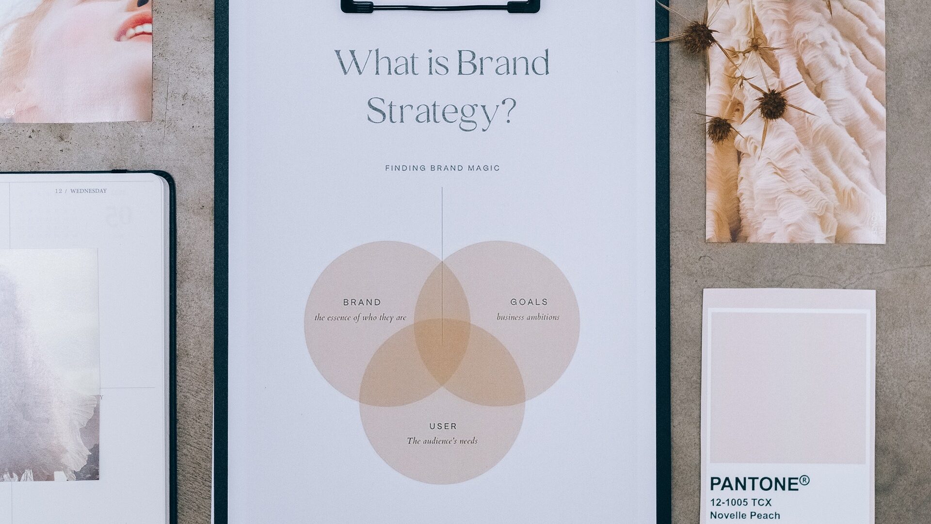 a series of logo designs and packaging design