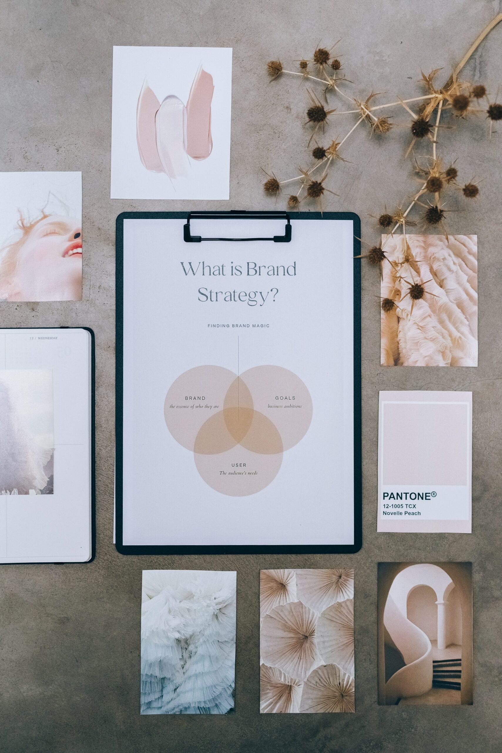 a series of logo designs and packaging design