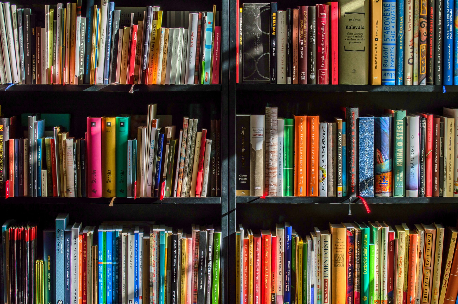 bookshelves full of colorful books