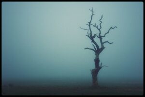 a dead tree in a fog that looks spooky