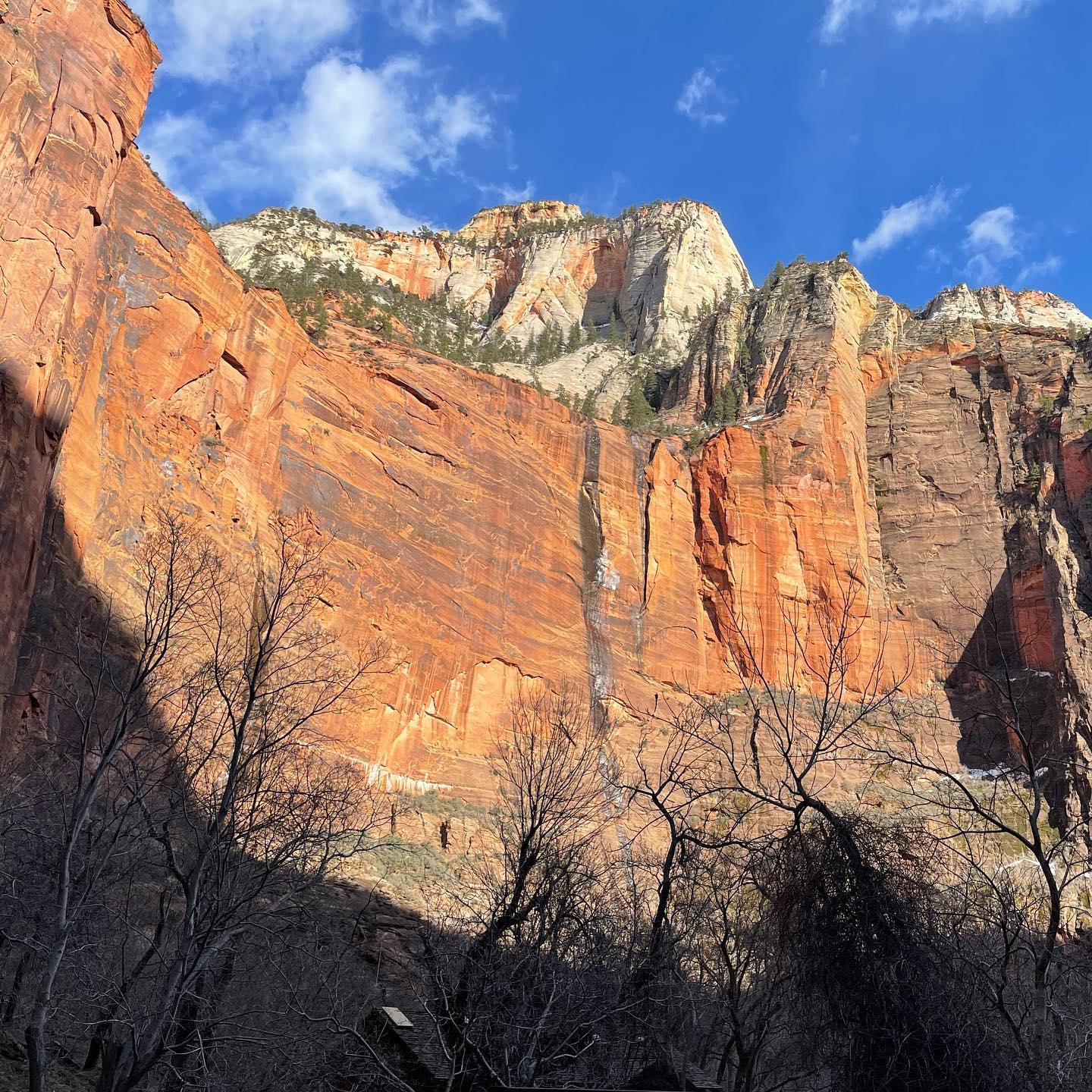 “As little design as possible” is the right amount here at Zion. @zionnps